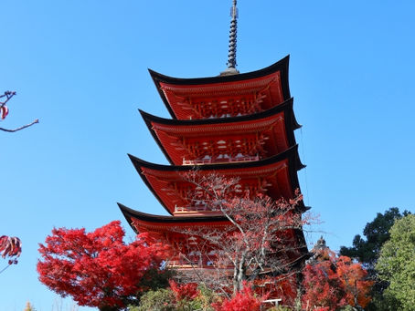 園だより11月号のお知らせ