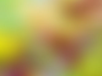 園だより11月号のお知らせ