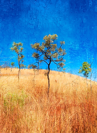 The Kimberley Juliette Cavendish (1)_pe (4).png