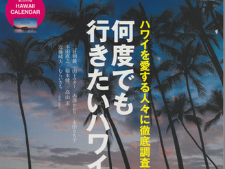 ハワイスタイル No.48