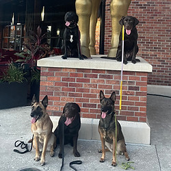 St Johns Town Center