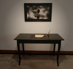 The Black Tulip 2016