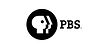 img_logo_incorrect06a-pbs_.jpg