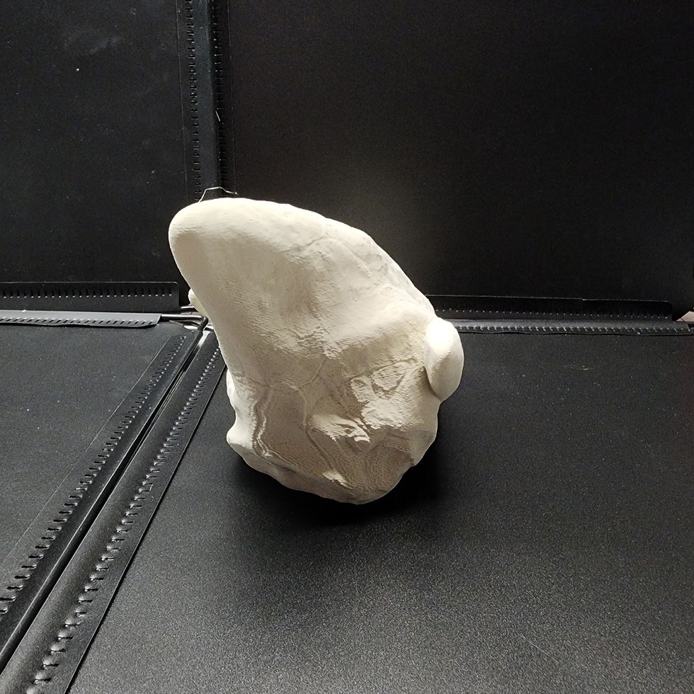 Thumbnail: Lugia Skull