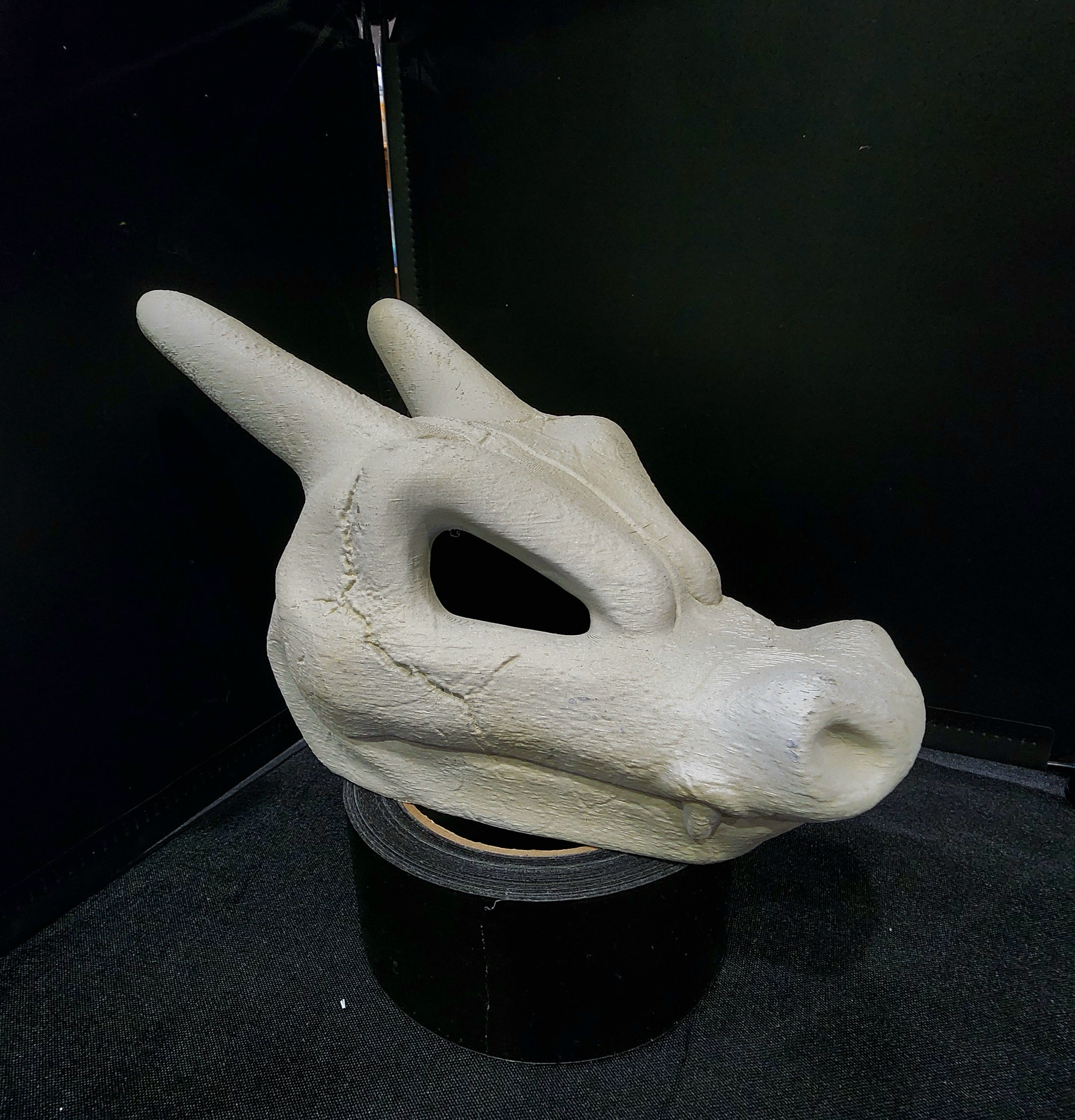 Charizard Skull