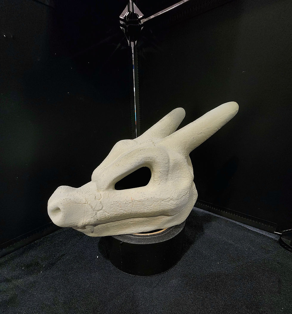 Thumbnail: Charizard Skull