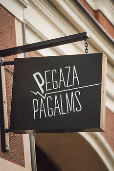 profile_pegaza7.jpg