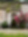IMG_6842.jpeg