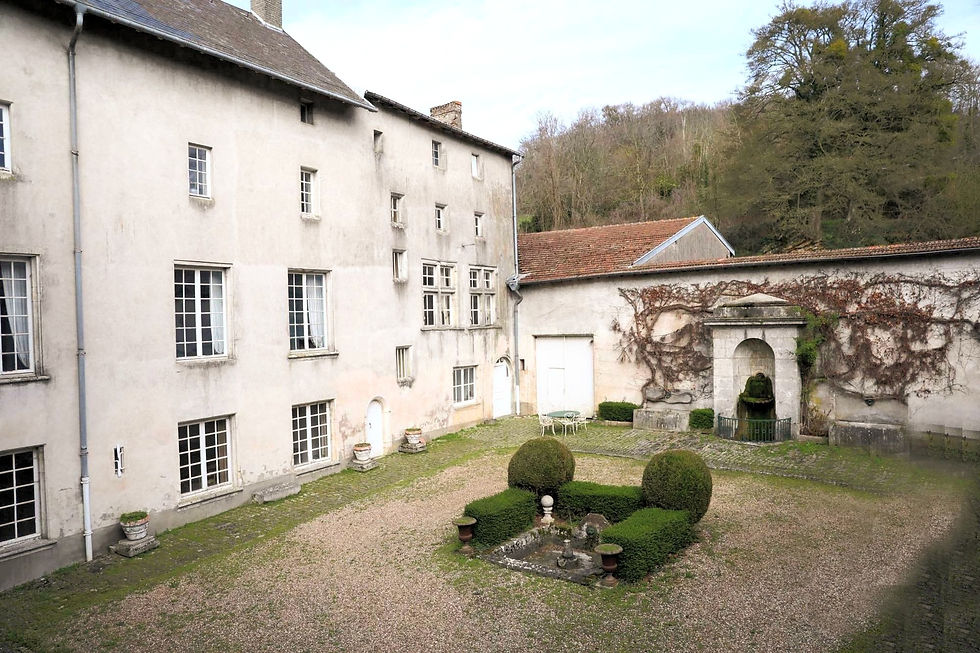 2000x2000-orientation-0deg (3)_edited_edited.jpg