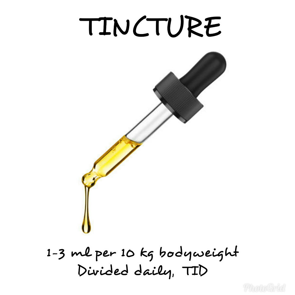 Nettle tincture