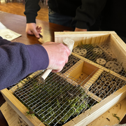 Jugendlicher arbeitet an einen Insektenhotel-Bausatz mit verschiedenen Materialien
