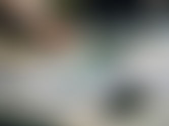 Alternatives to the Small Business Superannuation Clearing House