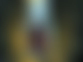 The Queen's Thief - Series Reader Review