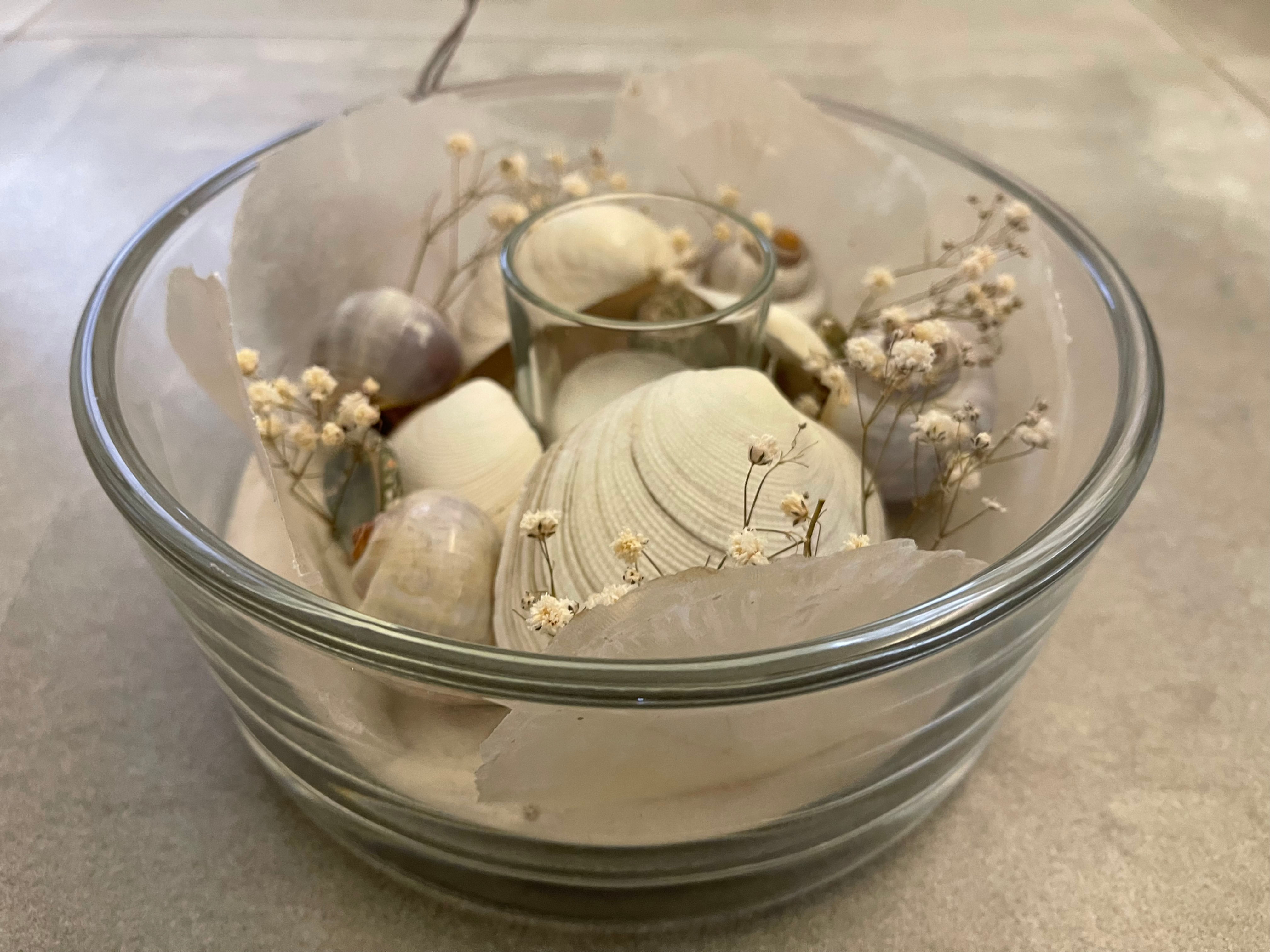 Glasschale mit Muscheln und Schneckenhäusern