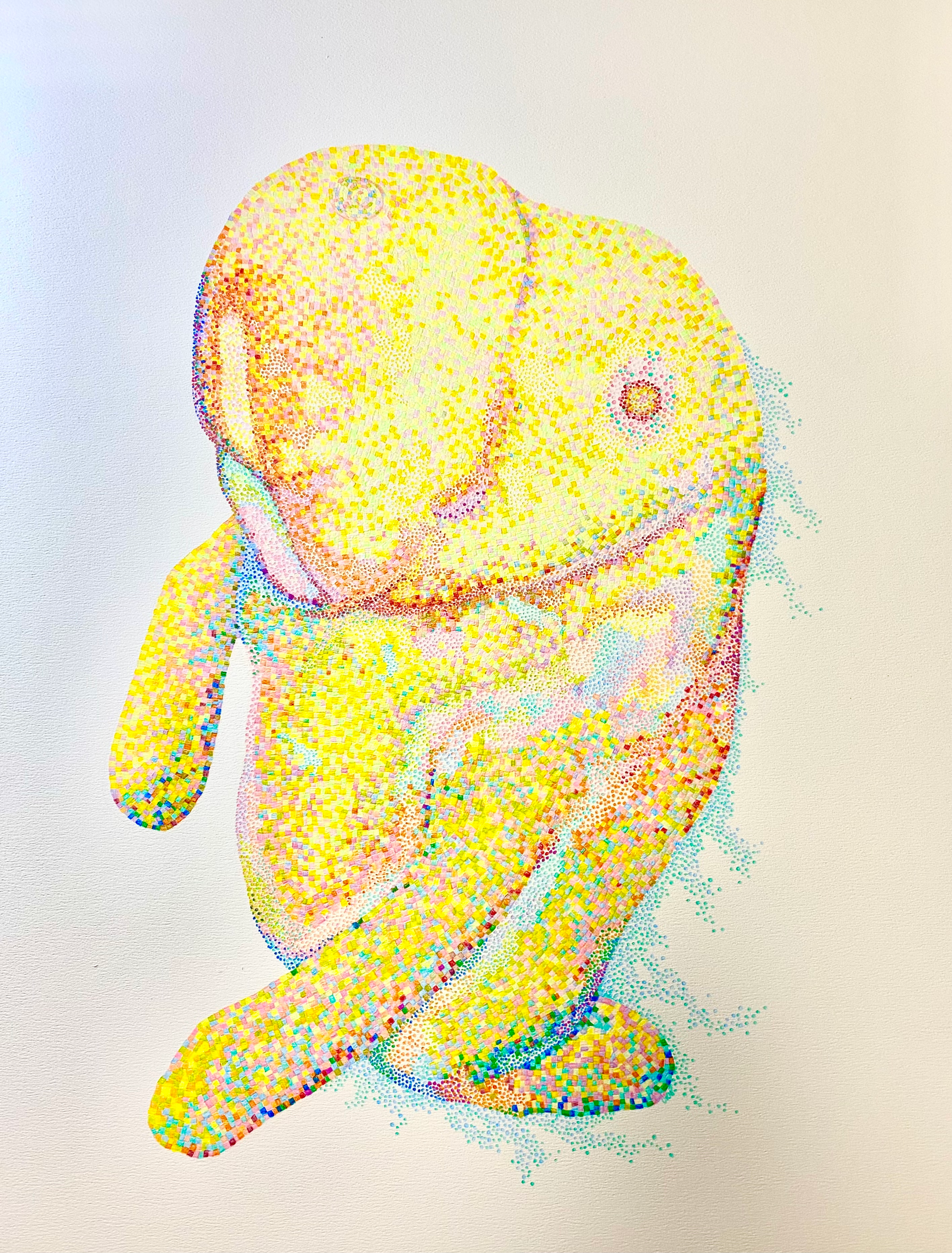 Title : my manatee