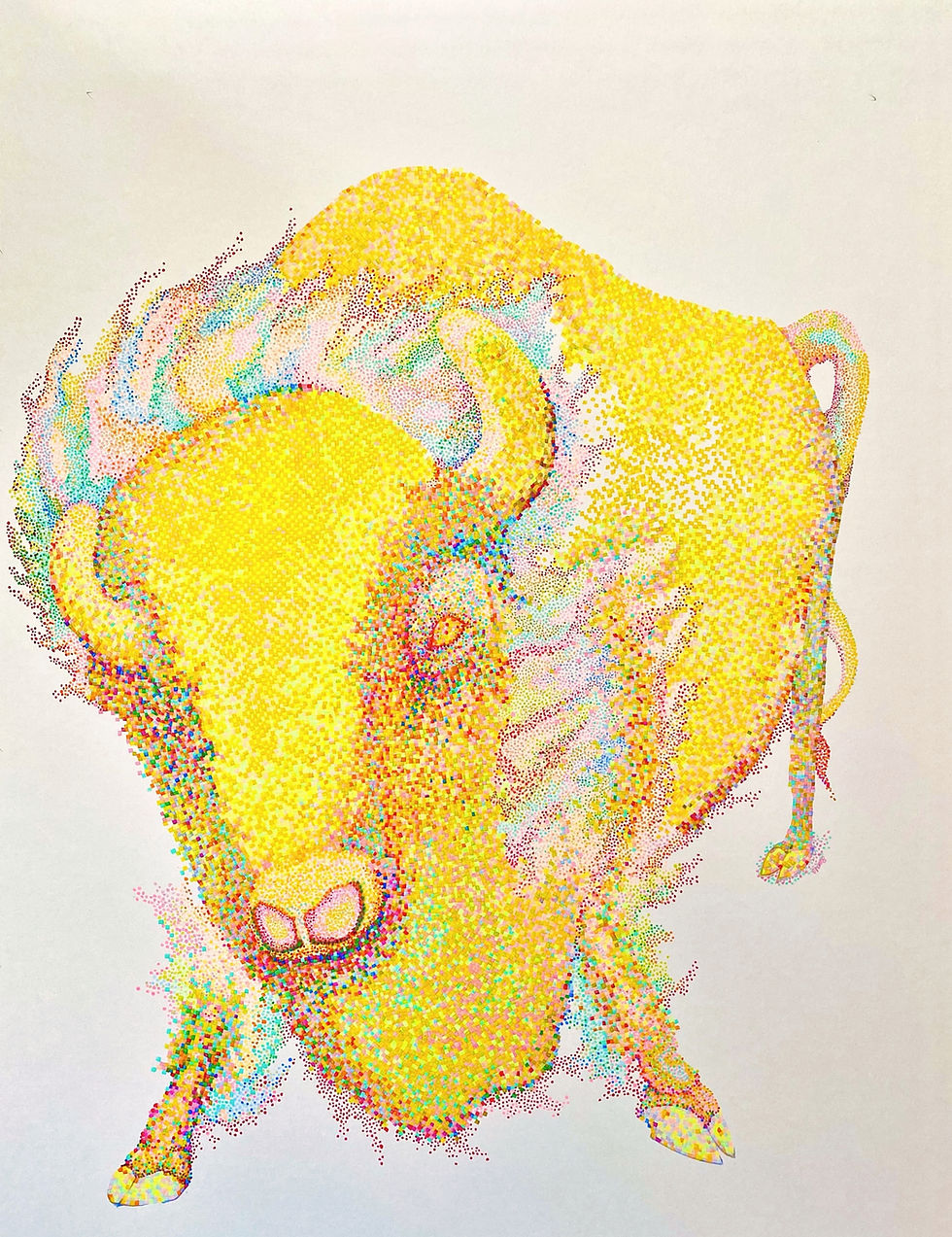 Title : my bison