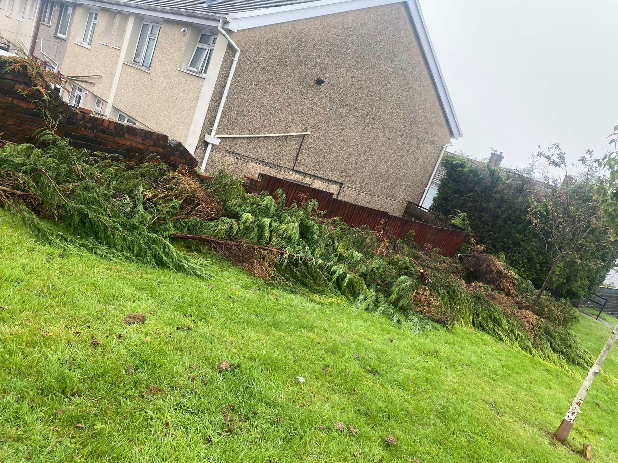 Fallen tree debris next to a house on green grass. Green Waste Load.