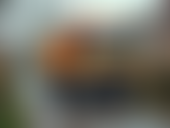 Fixed Price Waste Removal Solutions That Save You Money