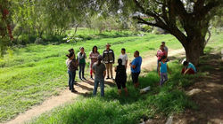 Consultoriaambiental