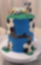 Soccer Cake