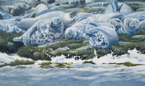 Madding Crowd from the Farnes_1.jpg