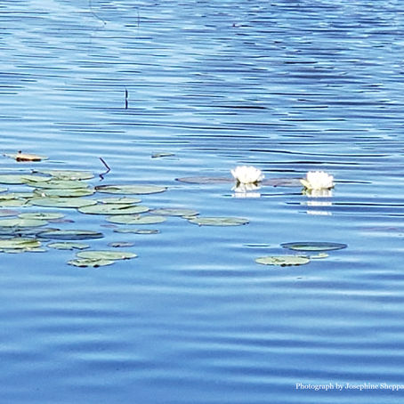 July 2024 - Soulful Living & Wisdom Periodical