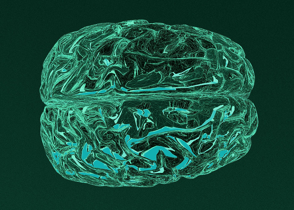 Picture of a scan of a human brain from the top view.