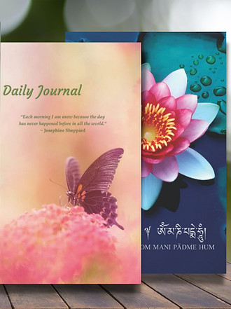 HSP & Gratitude Journal, Books Display.jpg