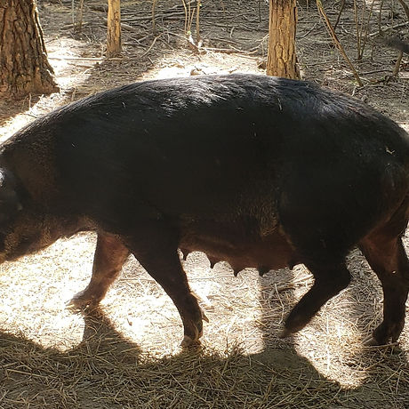 20200722_163518 (2).jpg