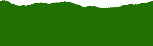 bg-footer-top.png