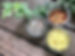 all sal scrubs.jpeg