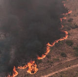 #Nacional | ABT inicia 77 procesos por incendios forestales, la mayoría en Santa Cruz