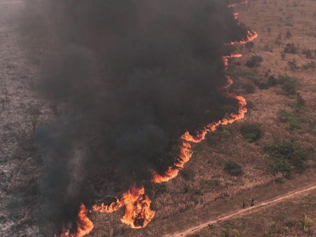 #Nacional | ABT inicia 77 procesos por incendios forestales, la mayoría en Santa Cruz