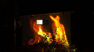IMG_9500.jpg