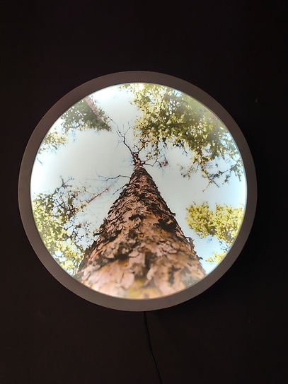 under, fotografía y luz, 2025 (1).jpg