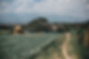 street-thailand-nature.jpg