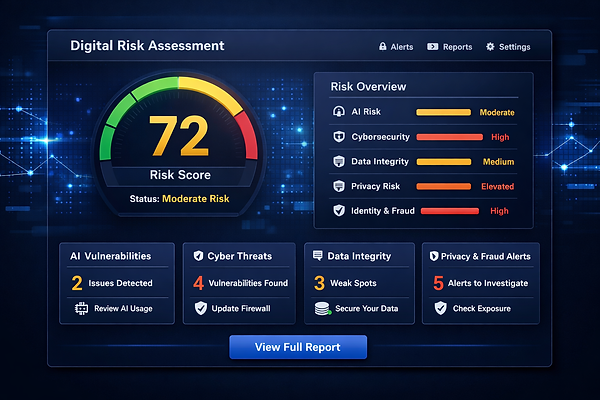 digital risk asssessment.png