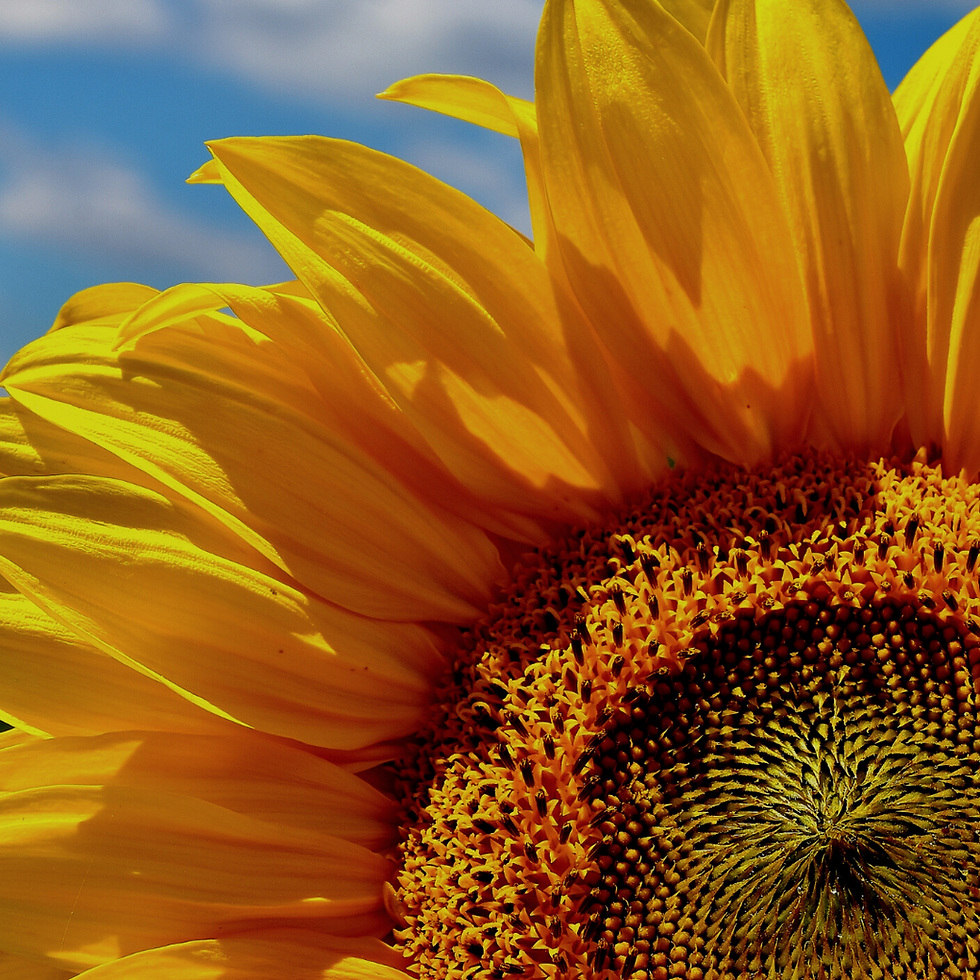 5 morning routine "musts" to start your day with less stress and more energy 