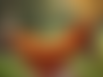 Customer Diary Showcasing Our Ochre Throw with Magenta Tassels: A Design Story