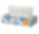 FACIAL TISSUE