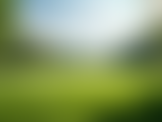 Planning Memorable Outdoor Movie Screenings