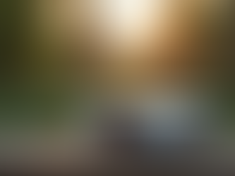 Essential Equipment for Outdoor Movie Nights