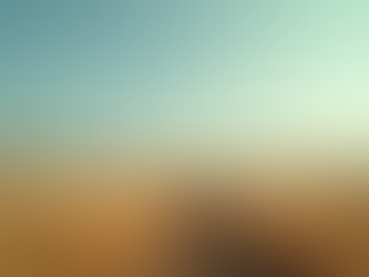 Organizing Your Perfect Outdoor Cinema