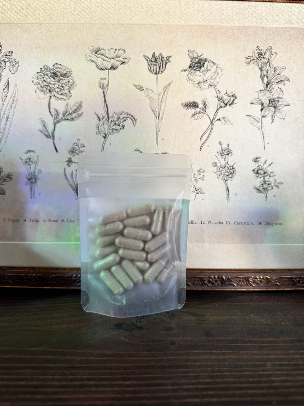 Miniature : Alkaline Alchemy Capsules | Seamoss 