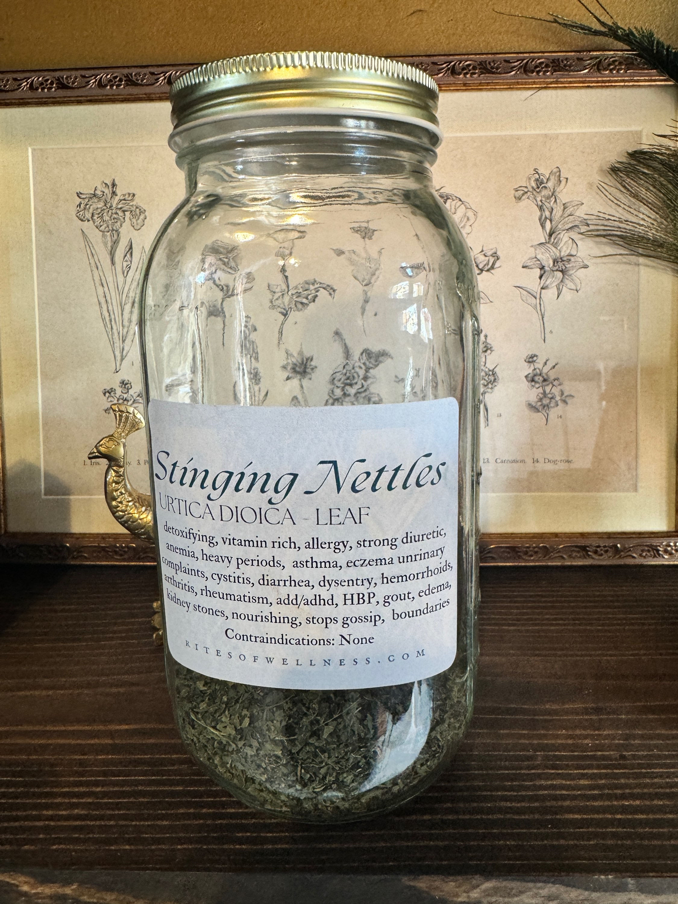 Nettle Leaf | Bulk Herb