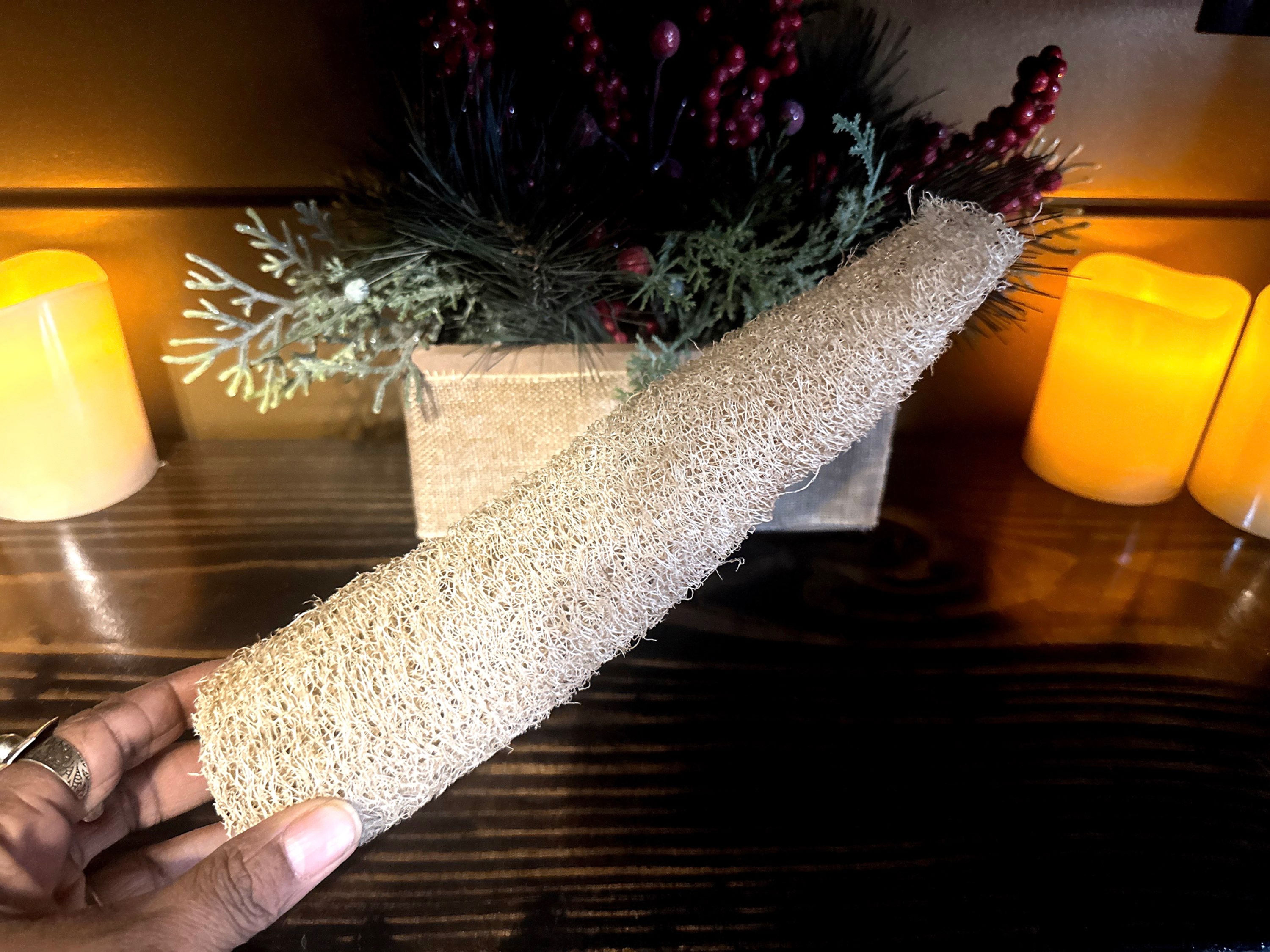 Luffa Loofah | Plant-based Sponge 