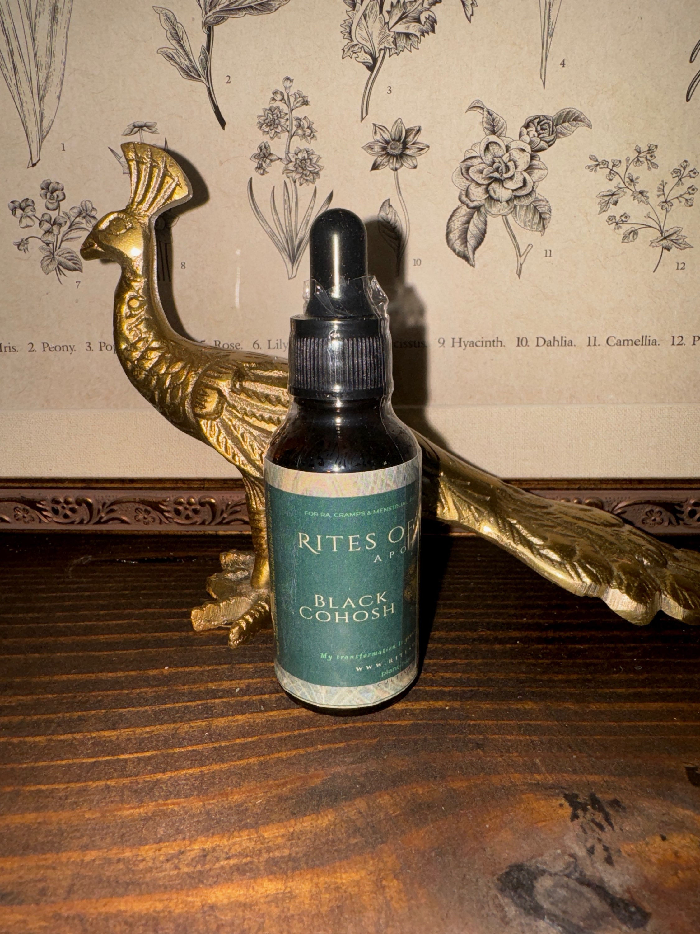 Black Cohosh Tincture | Reproductive Rites