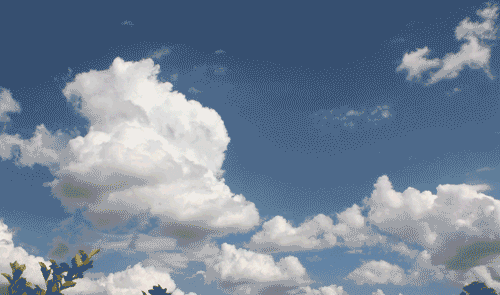 R.49d27cc7feb4f849fb3d4134590e977d.gif