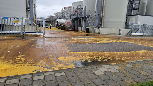 wormer_palmolie1.jpeg