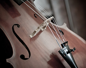 Cello 1